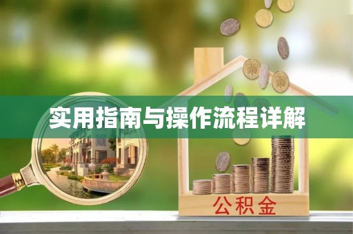 滨湖实用指南与操作流程详解
